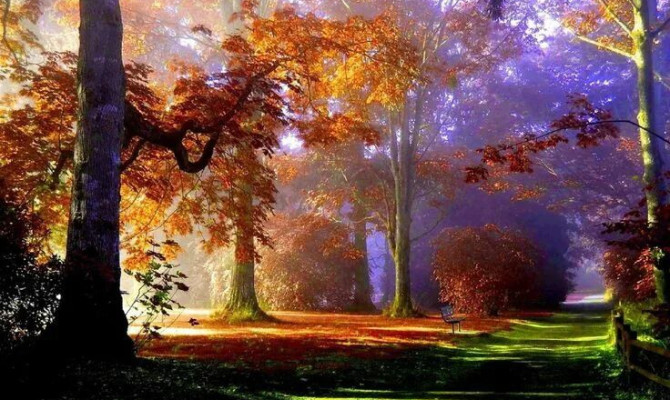 Развлекательная игровая программа«Ах это сказочная осень».